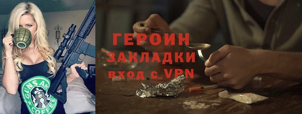 индика Арсеньев