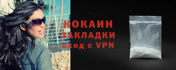 индика Арсеньев