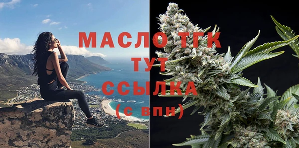 индика Арсеньев