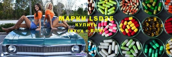 индика Арсеньев