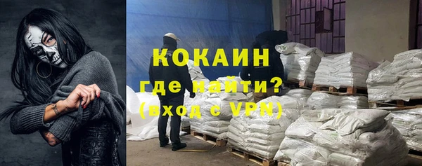 индика Арсеньев