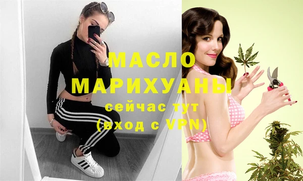 индика Арсеньев