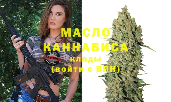 индика Арсеньев